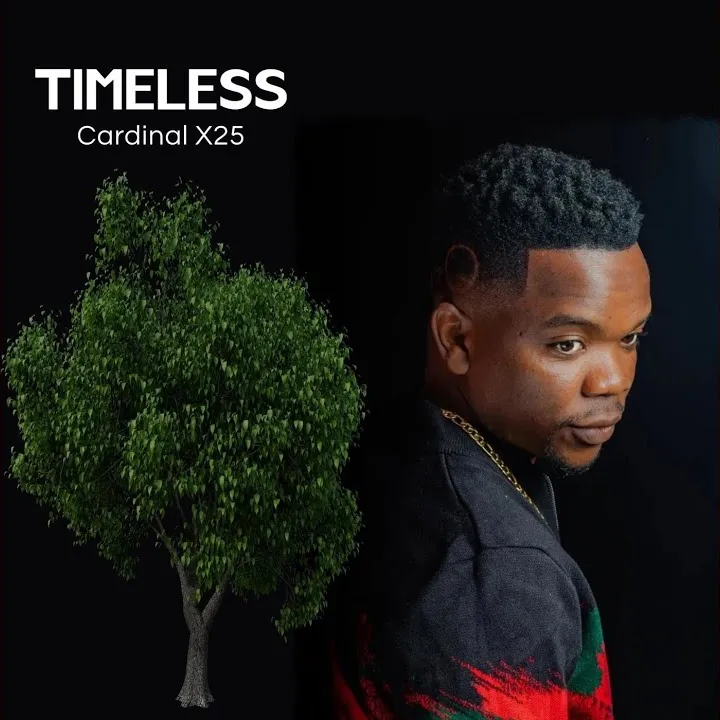 Cardinal X25 – Hello