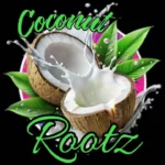 Coconut Rootz - Could You Be The One || Amk