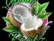Coconut Rootz – My Everything