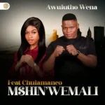 Mshinwemali - Awulutho Wena (with Chulumanco M) || Amk