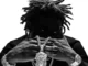 Shallipopi – OGO