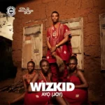 Wizkid - Show You the Money (Remix) || Amk